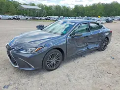 58ADZ1B15RU164714 2024 LEXUS ES