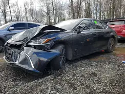 58ADZ1B15RU169833 2024 LEXUS ES