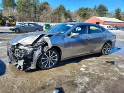 58ADZ1B16MU103980 2021 LEXUS ES