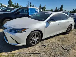 58ADZ1B17NU126833 2022 LEXUS ES