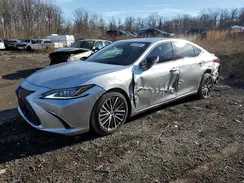 58ADZ1B18RU164884 2024 LEXUS ES