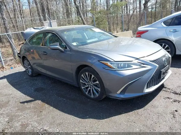 58ADZ1B19LU067670 2020 LEXUS ES - Image 1