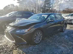 58ADZ1B19MU091100 2021 LEXUS ES