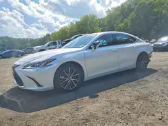 58ADZ1B19RU176106 2024 LEXUS ES