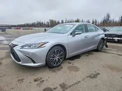 58ADZ1B19SU191002 2025 LEXUS ES