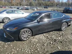 58ADZ1B1XMU101648 2021 LEXUS ES