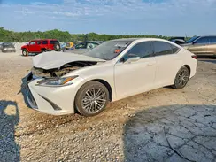 58ADZ1B1XPU143435 2023 LEXUS ES