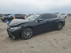 58ADZ1B1XRU166202 2024 LEXUS ES