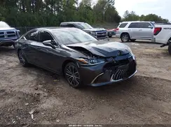 58ADZ1B1XRU168631 2024 LEXUS ES