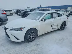 58ADZ1B1XRU168922 2024 LEXUS ES