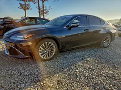 58AEA1C11NU017858 2022 LEXUS ES