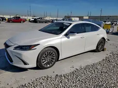 58AEA1C11SU071043 2025 LEXUS ES
