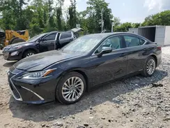 58AEA1C13NU017859 2022 LEXUS ES