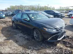 58AEZ1B15RU181257 2024 LEXUS ES