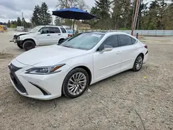 58AEZ1B19LU081525 2020 LEXUS ES
