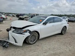 58AEZ1B19RU174439 2024 LEXUS ES