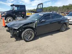 58AEZ1B19RU179379 2024 LEXUS ES
