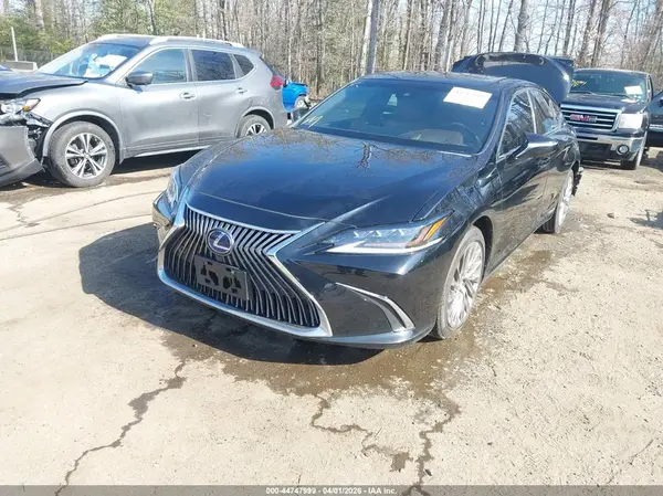 58AF21B10LU008259 2020 LEXUS ES - Image 2