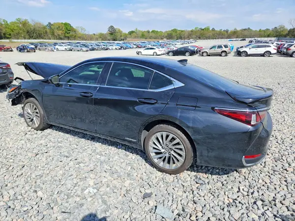 58AFA1C18NU018428 2022 LEXUS ES - Image 2