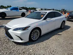 58AFA1C1XPU032382 2023 LEXUS ES