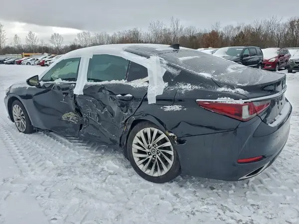 58AFZ1B12LU058737 2020 LEXUS ES - Image 2