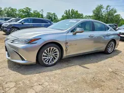 58AFZ1B13MU097905 2021 LEXUS ES