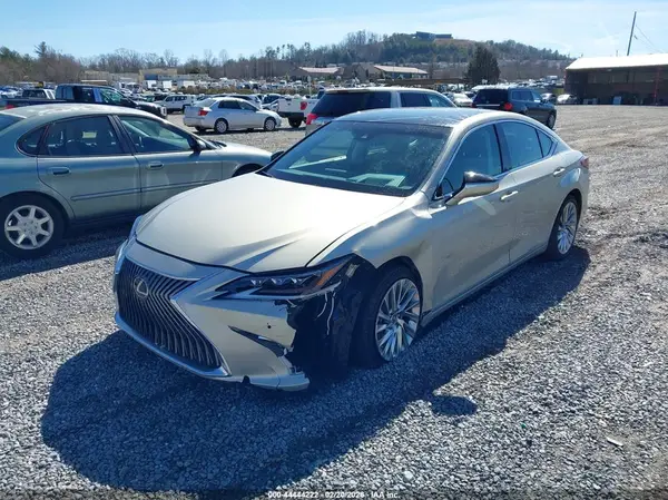 58AFZ1B15LU055427 2020 LEXUS ES - Image 2