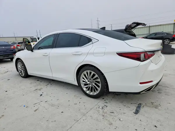 58AFZ1B16LU071880 2020 LEXUS ES - Image 2