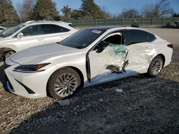 58AFZ1B17LU067465 2020 LEXUS ES - Image 1