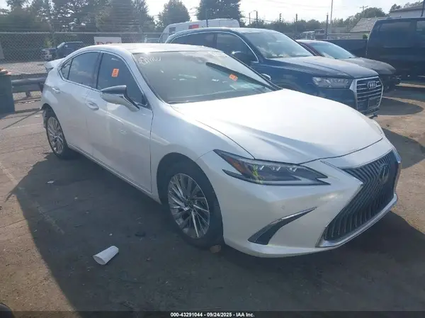 58AFZ1B19LU074806 2020 LEXUS ES - Image 1