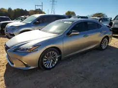 58AFZ1B1XMU093382 2021 LEXUS ES