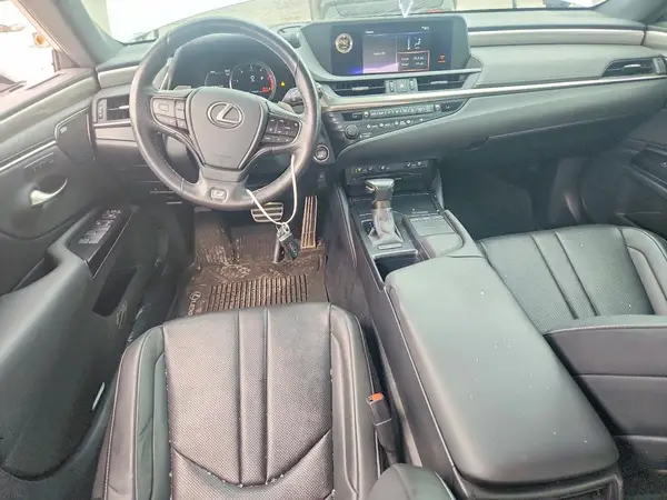 58AGZ1B11LU070446 2020 LEXUS ES - Image 8