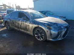 58AGZ1B13LU080377 2020 LEXUS ES
