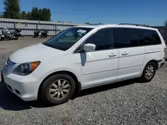 5FNRL3H70AB037215 2024 HONDA ODYSSEY