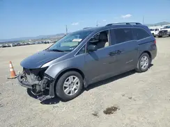 5FNRL5H28CB019953 2025 HONDA ODYSSEY