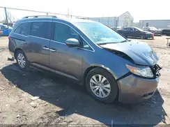 5FNRL5H31GB137020 2016 HONDA ODYSSEY