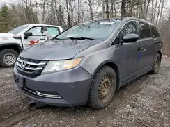 5FNRL5H32GB503499 2016 HONDA ODYSSEY