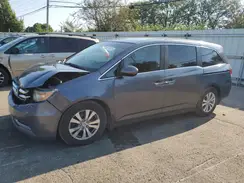 5FNRL5H36GB034319 2016 HONDA ODYSSEY