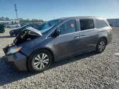 5FNRL5H36GB091359 2016 HONDA ODYSSEY