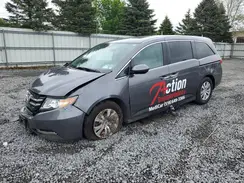 5FNRL5H41GB084389 2016 HONDA ODYSSEY