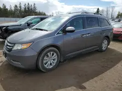 5FNRL5H41GB503552 2016 HONDA ODYSSEY