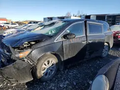 5FNRL5H41HB500734 2017 HONDA ODYSSEY