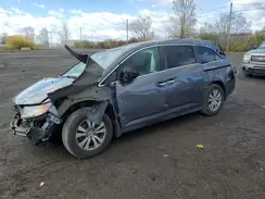 5FNRL5H41HB503360 2017 HONDA ODYSSEY