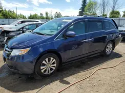 5FNRL5H43GB509126 2016 HONDA ODYSSEY