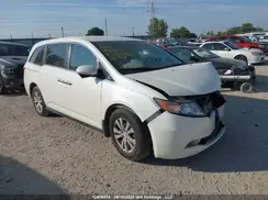 5FNRL5H49GB514556 2016 HONDA ODYSSEY