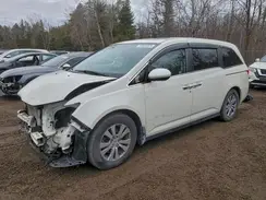 5FNRL5H60HB504436 2017 HONDA ODYSSEY