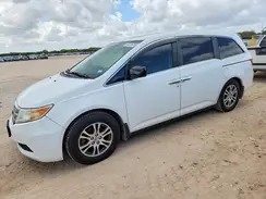 5FNRL5H61DB012850 2024 HONDA ODYSSEY
