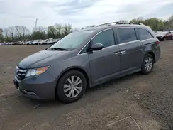 5FNRL5H62HB007310 2017 HONDA ODYSSEY