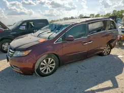 5FNRL5H63GB144237 2016 HONDA ODYSSEY