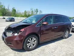 5FNRL5H66GB062177 2016 HONDA ODYSSEY